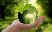 Environment / Ecology